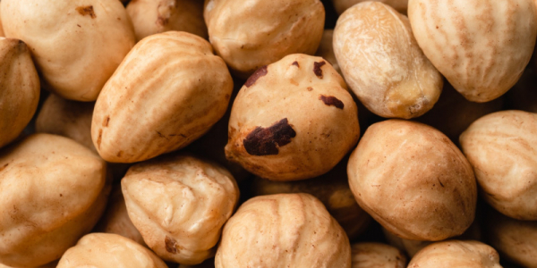 Le Nocciole e i loro Benefici per la Salute Umana